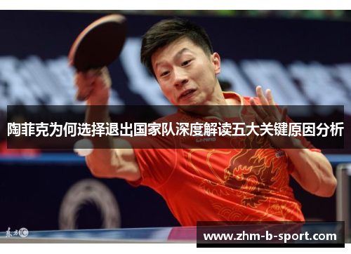 陶菲克为何选择退出国家队深度解读五大关键原因分析 陶菲克为何选择退出国家队深度解读五大关键原因分析