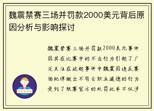 魏震禁赛三场并罚款2000美元背后原因分析与影响探讨
